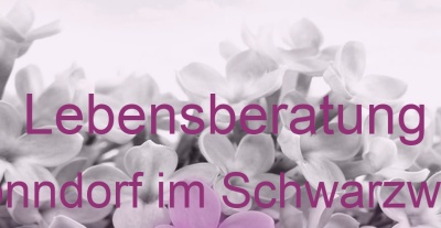 Lebensberatung Bonndorf im Schwarzwald | Top-Experten für Kartenlegen, Wahrsagen, Hellsehen, Zukunftsdeutung.
